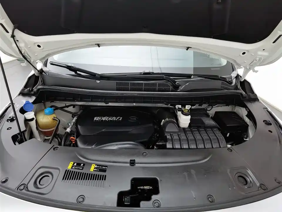 Trumpchi Trumpchi M8