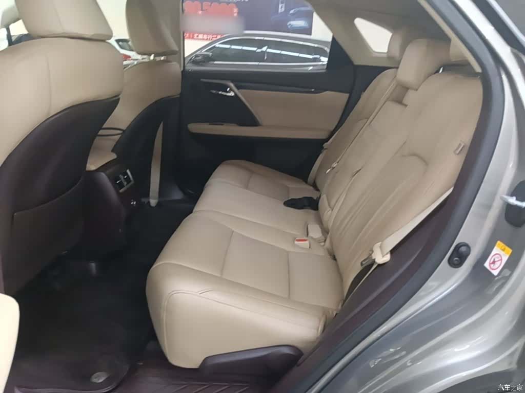 Lexus RX, 2017 17