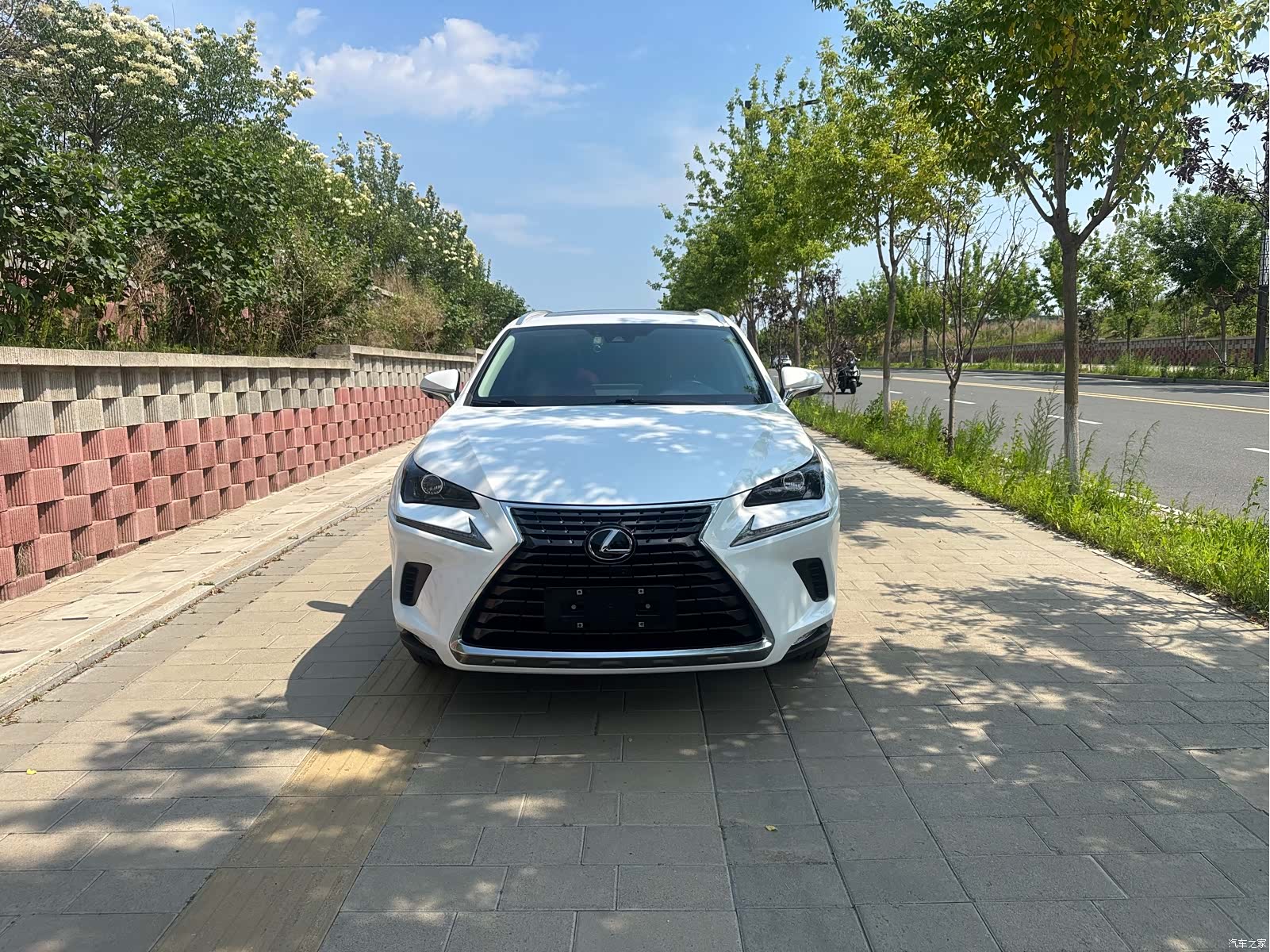 Lexus NX, 2021 2