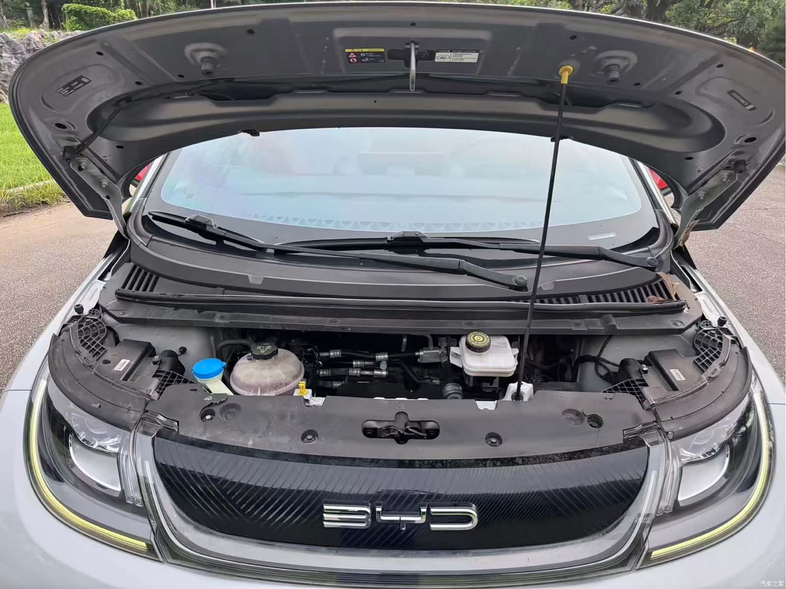 BYD Dolphin, 2022 4