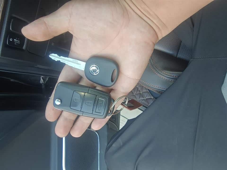 Forthing Lingzhi PLUS