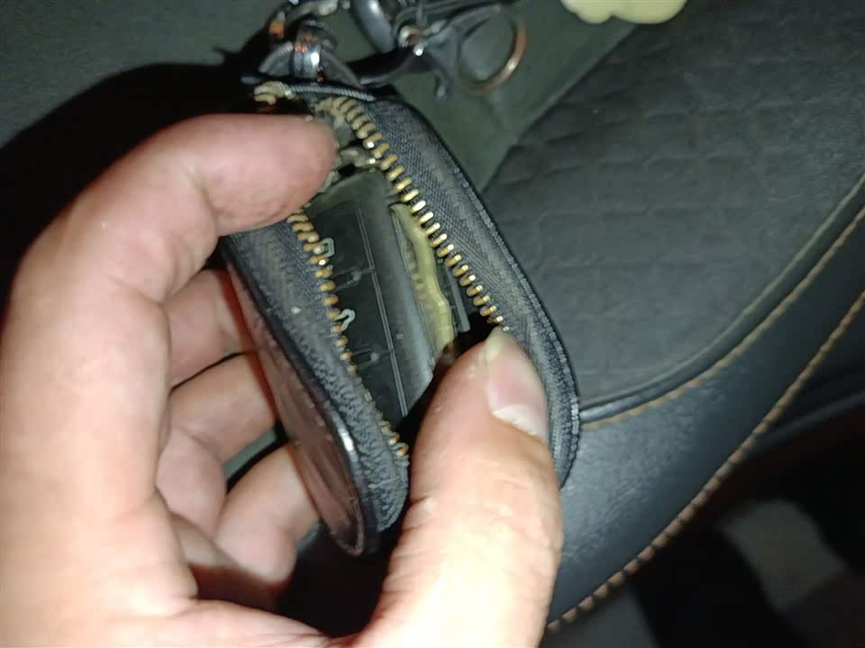 Volkswagen C-TREK Wei Collar