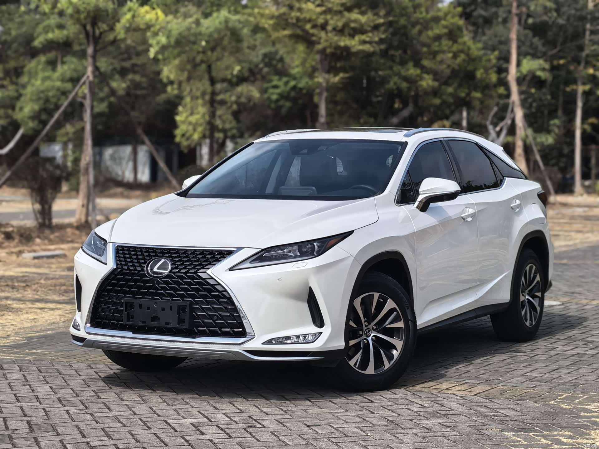 Lexus RX, 2019 1