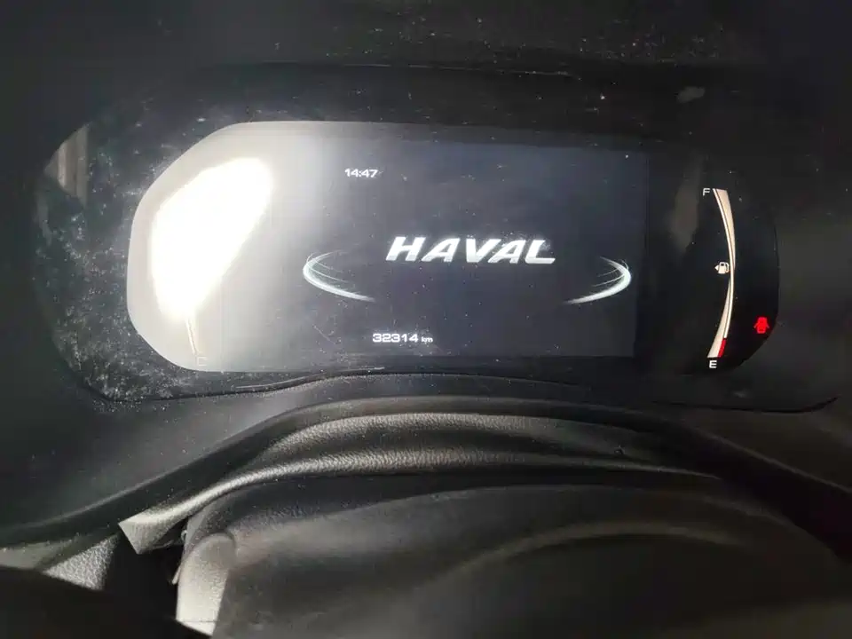 Haval First love