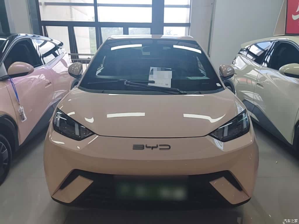 BYD Seagull, 2024 3