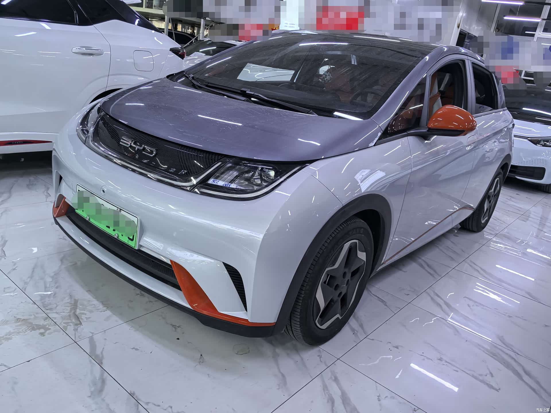 BYD Dolphin, 2023 1