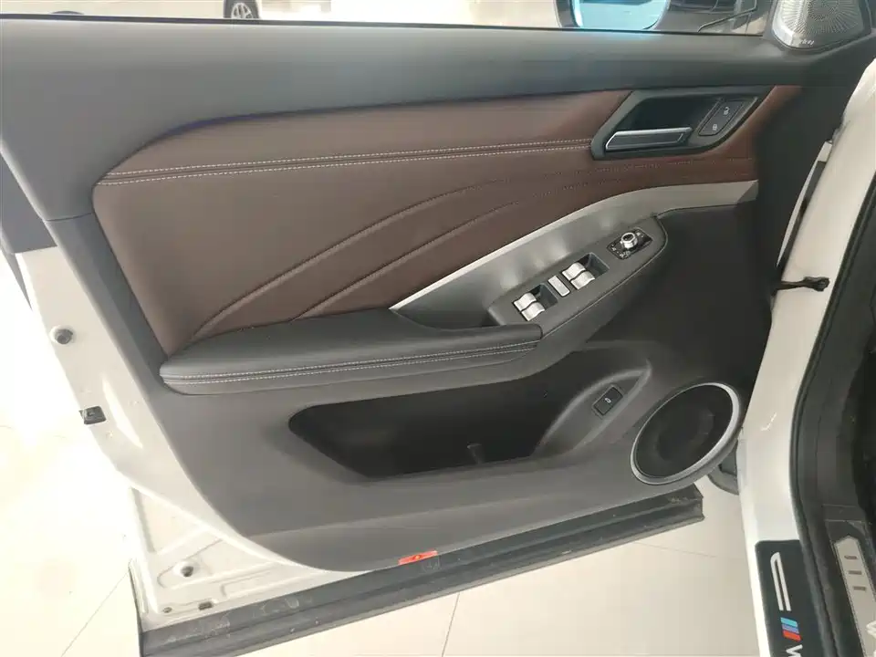 Weipai VV6