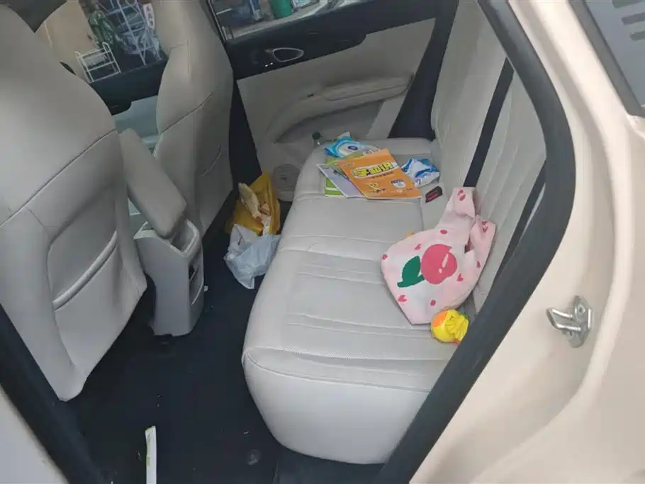 Geely Galaxy Star Wish