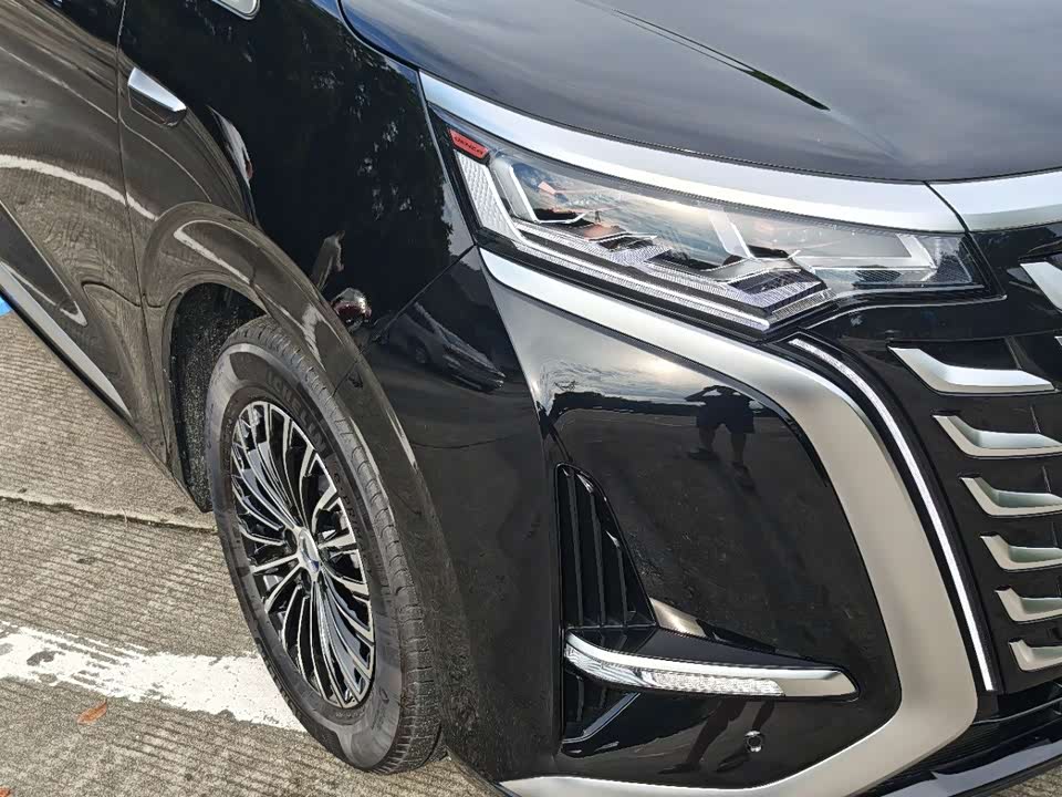 Denza D9
