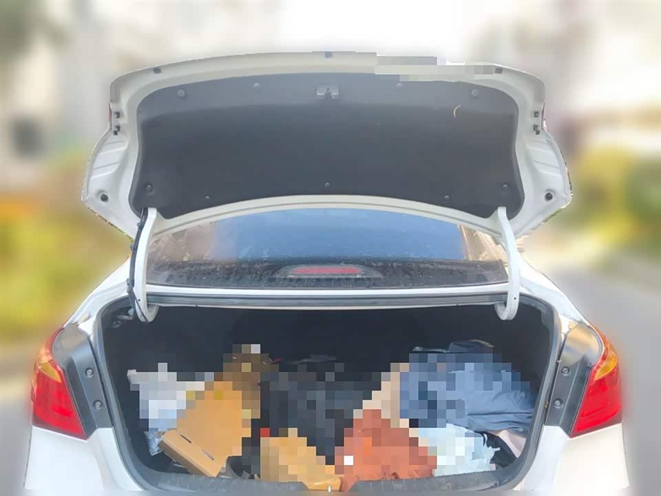 Hyundai Name picture