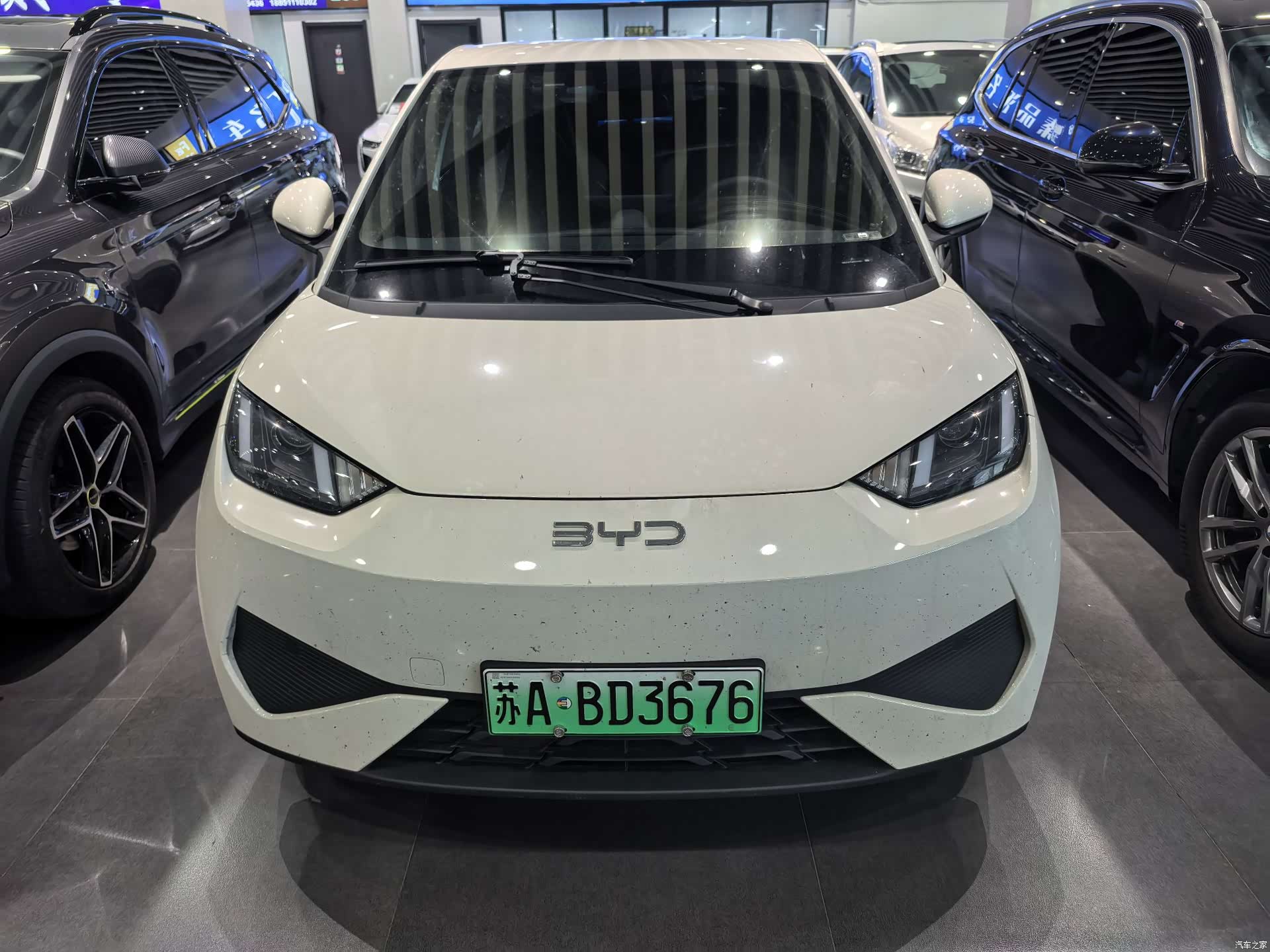 BYD Seagull, 2026 2