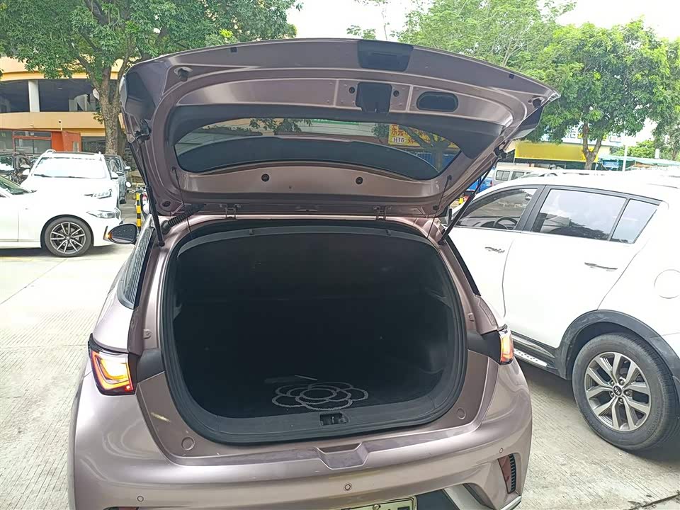 BYD dolphin