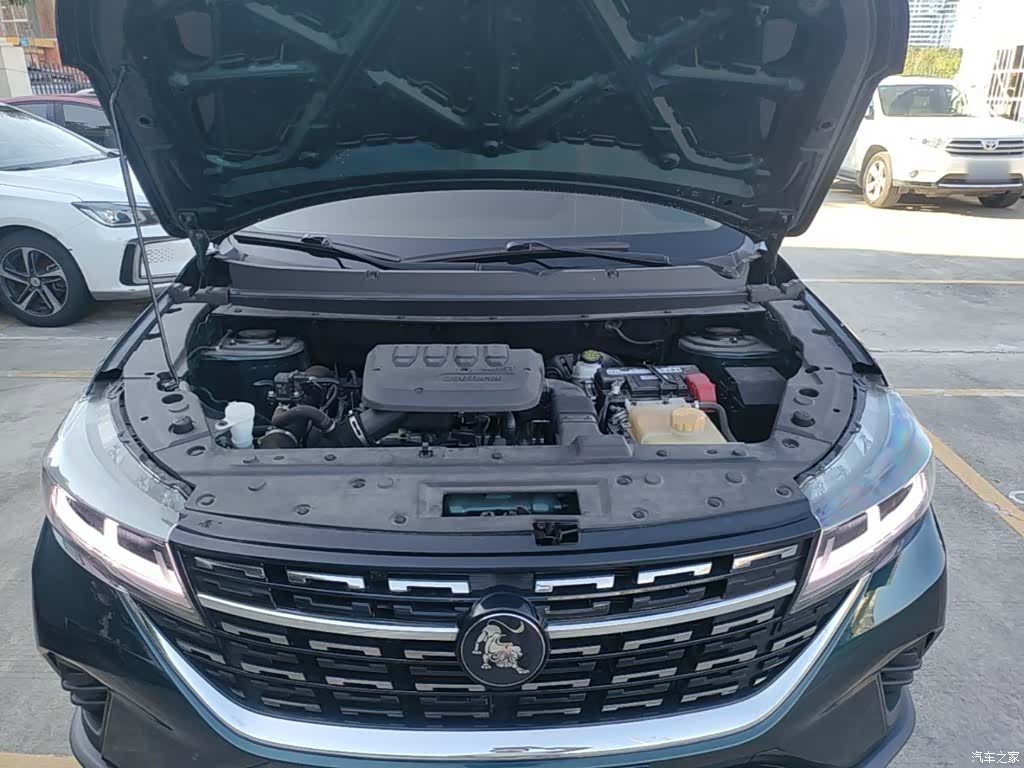 DongFeng T5, 2023 20