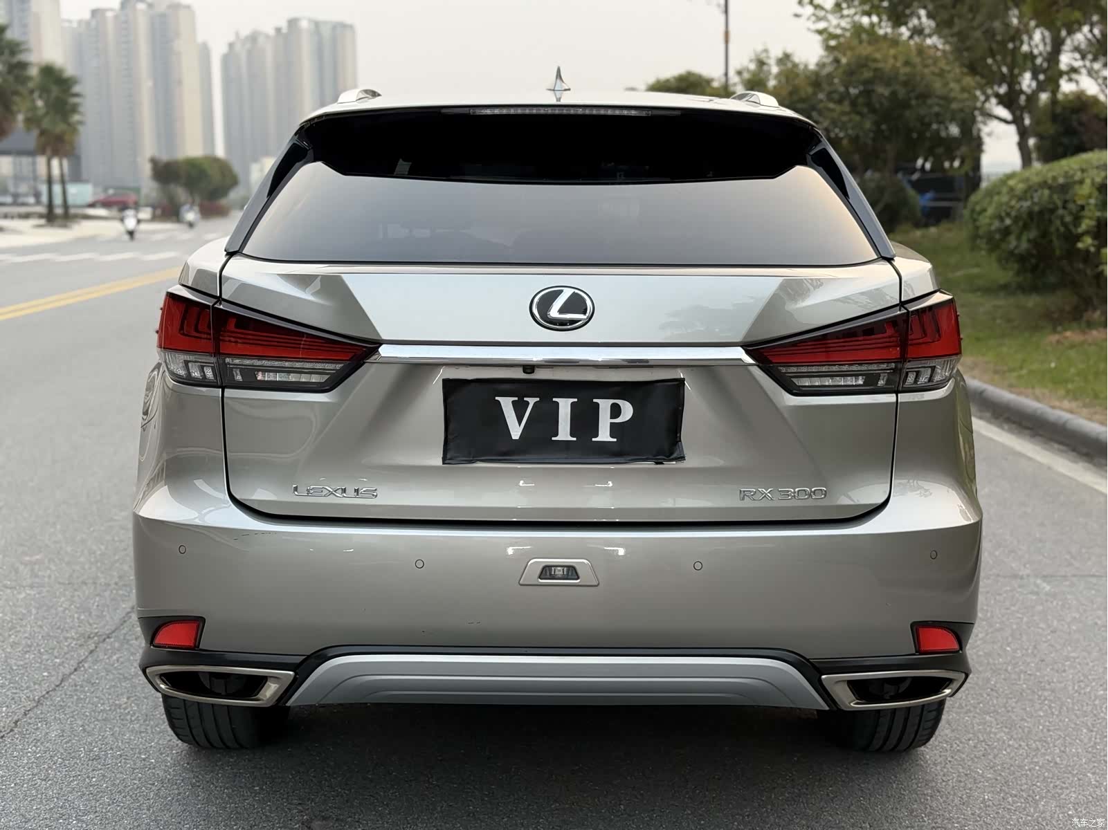 Lexus RX, 2020 3