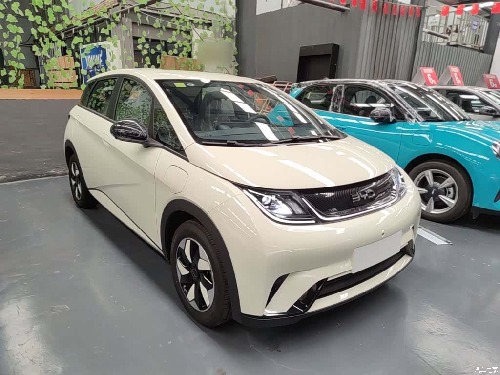 BYD Dolphin, 2026 4