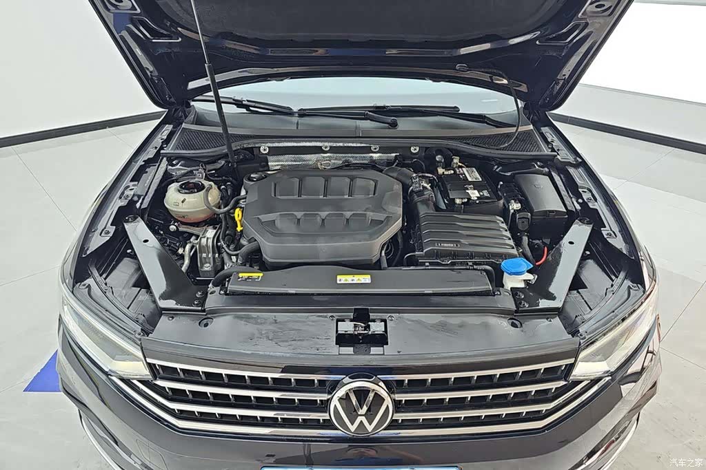 Volkswagen Magotan, 2023 10