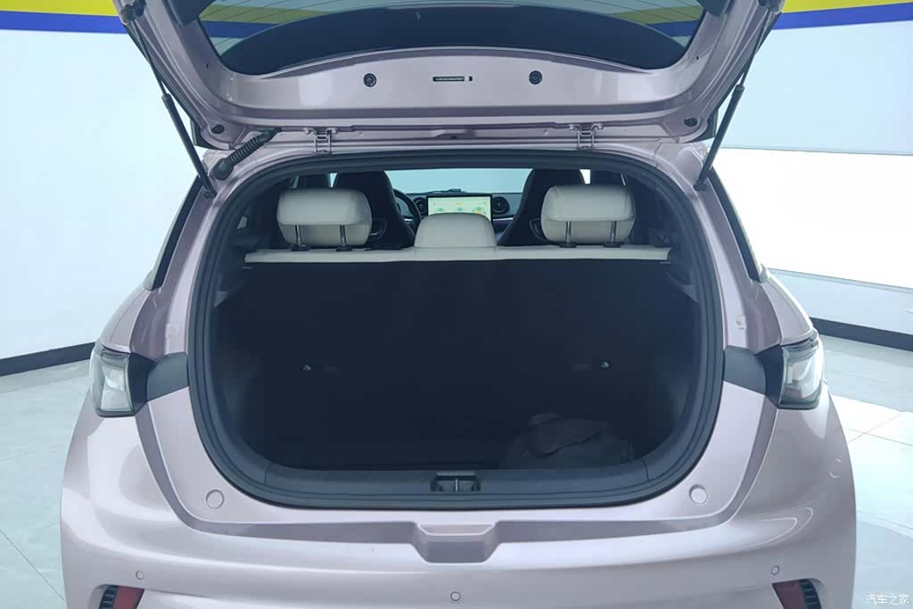 BYD Dolphin, 2023 4