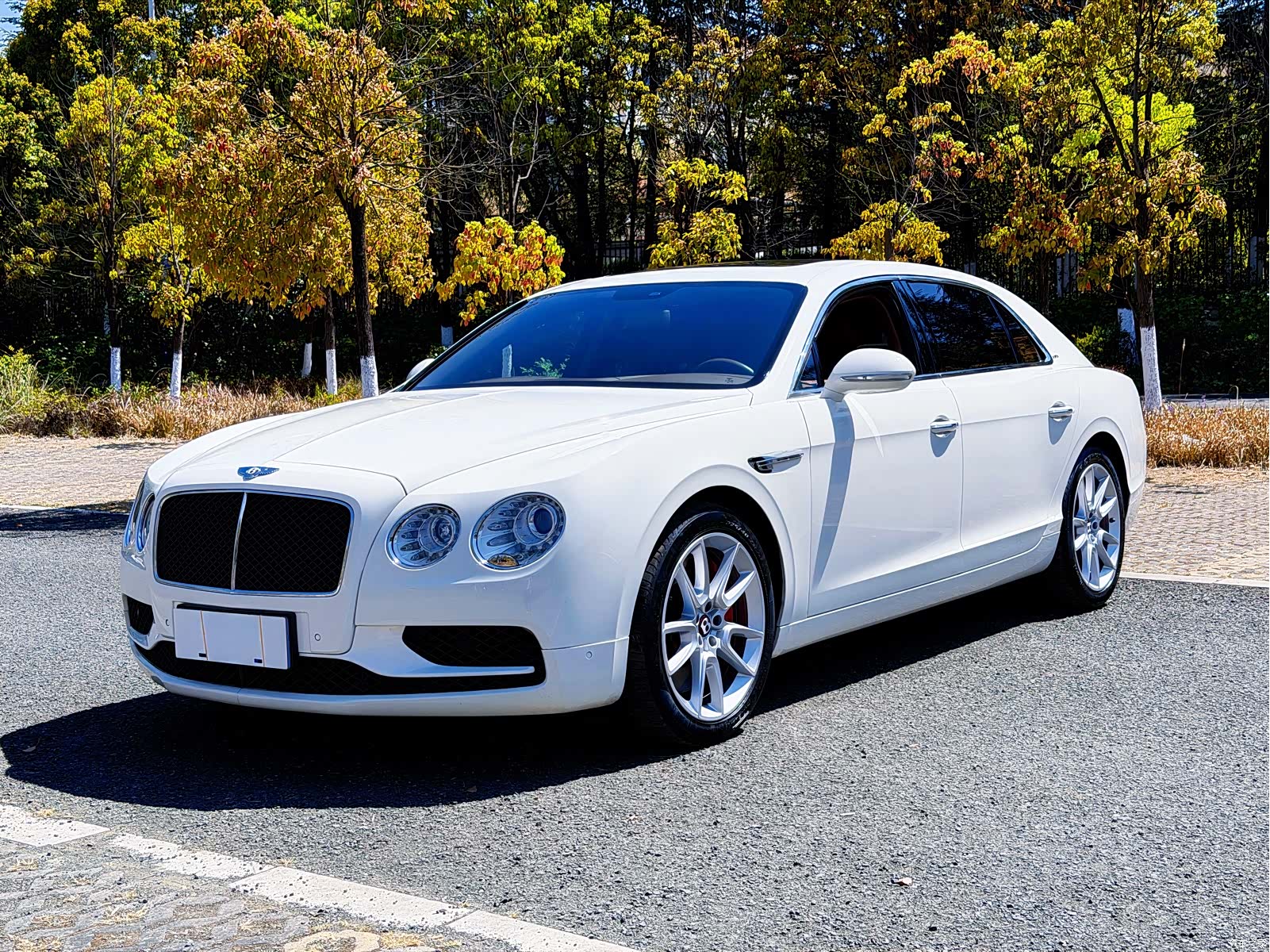 Bentley Flying Spur, 2020 15