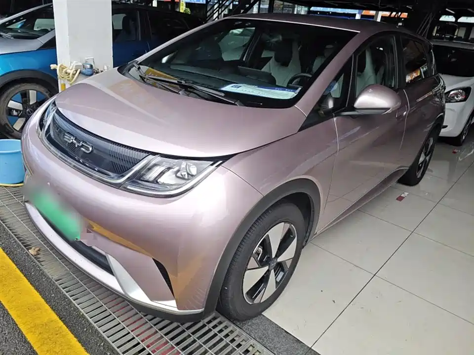 BYD dolphin