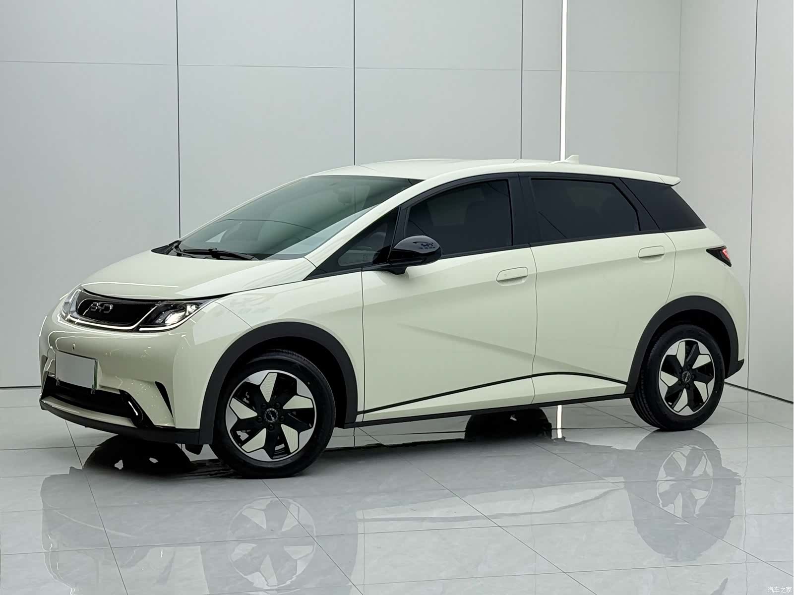 BYD Dolphin, 2026 1