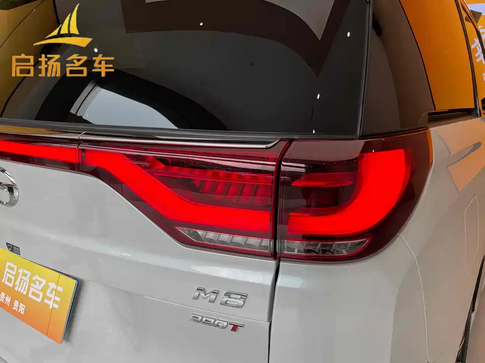Trumpchi Trumpchi M8