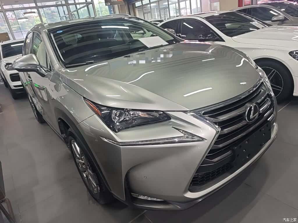 Lexus NX, 2015 4