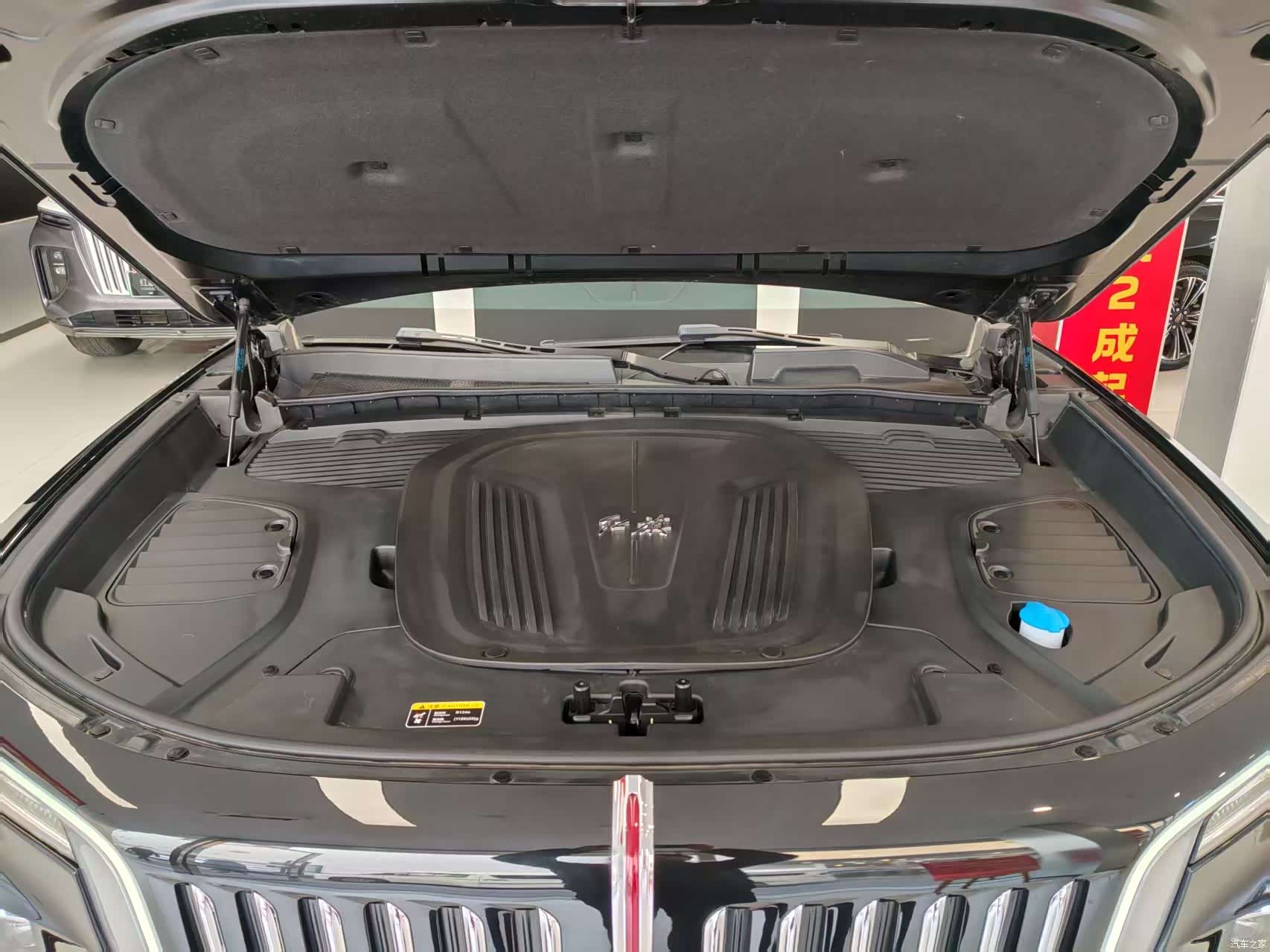 Hongqi E-HS9, 2023 9