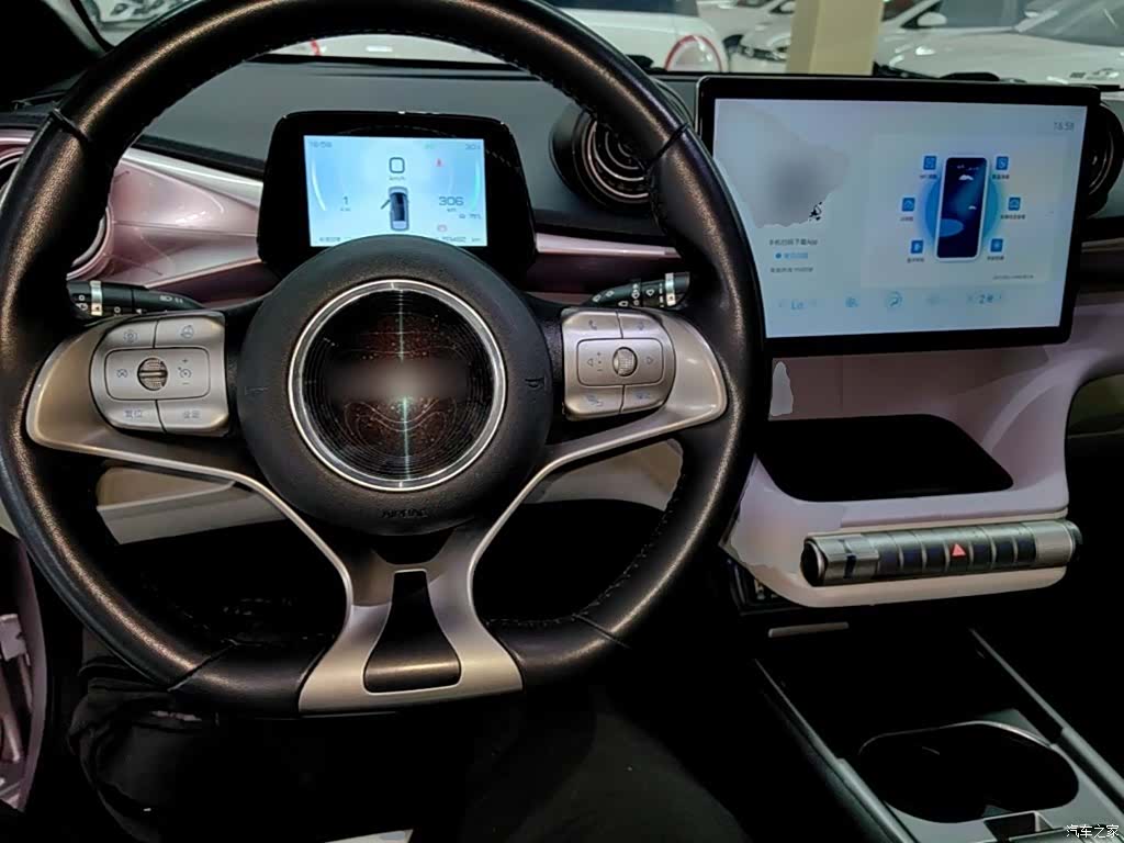 BYD Dolphin, 2023 10