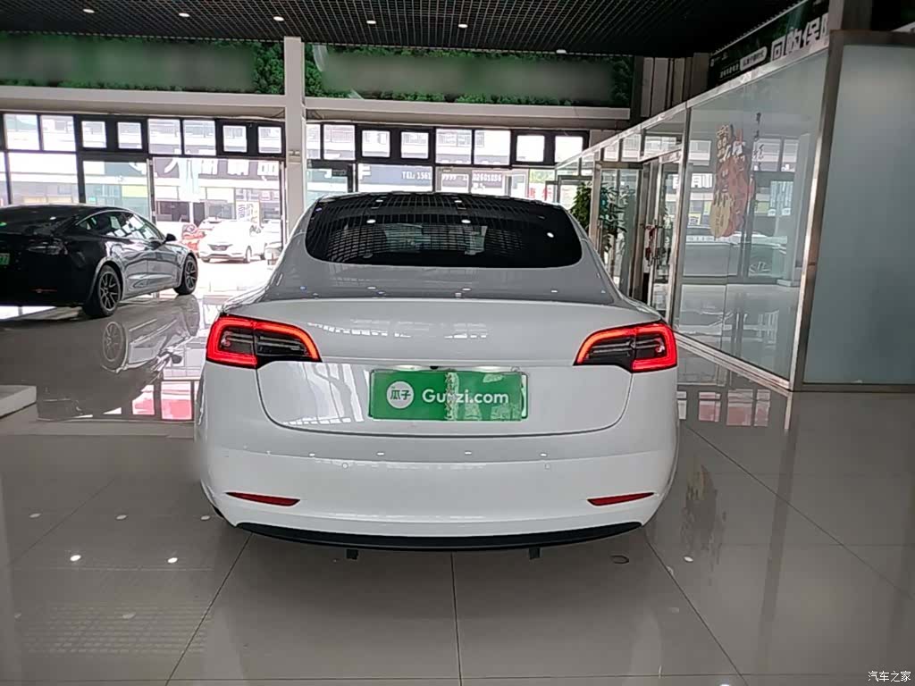 Tesla Model 3, 2021 6