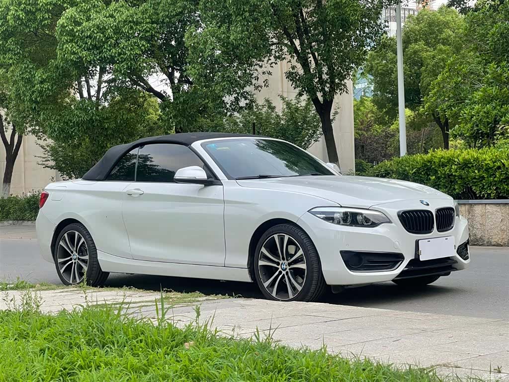 BMW 2 Series, 2019 4