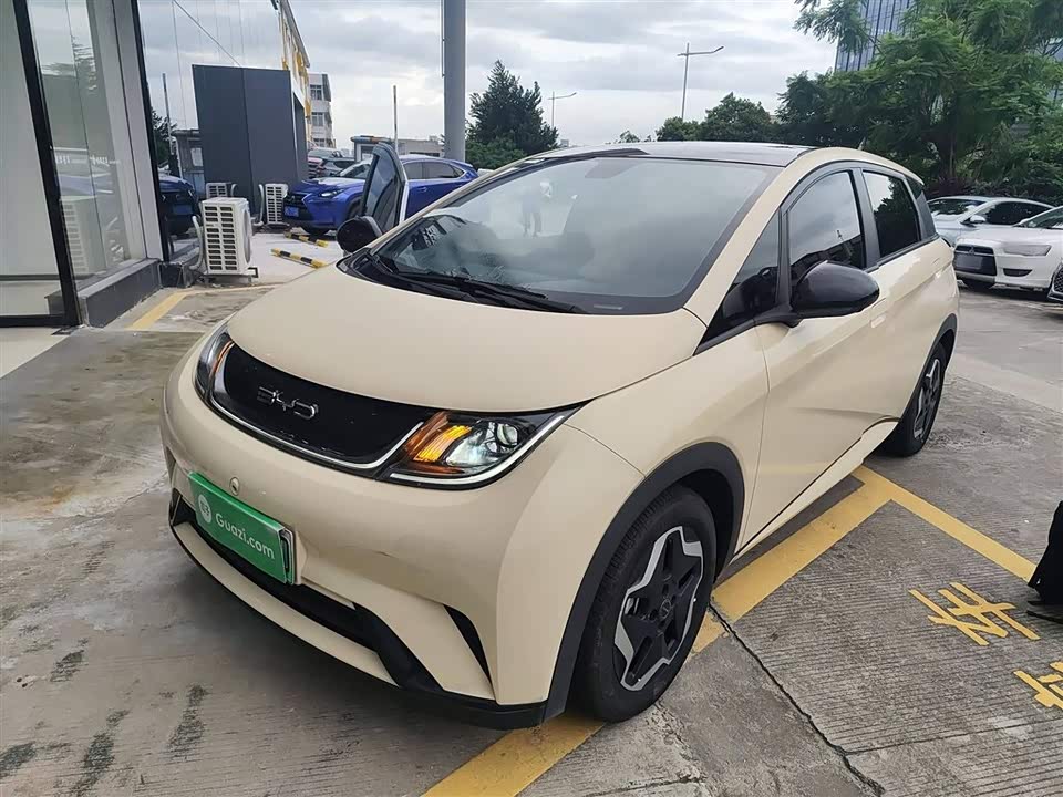 BYD dolphin