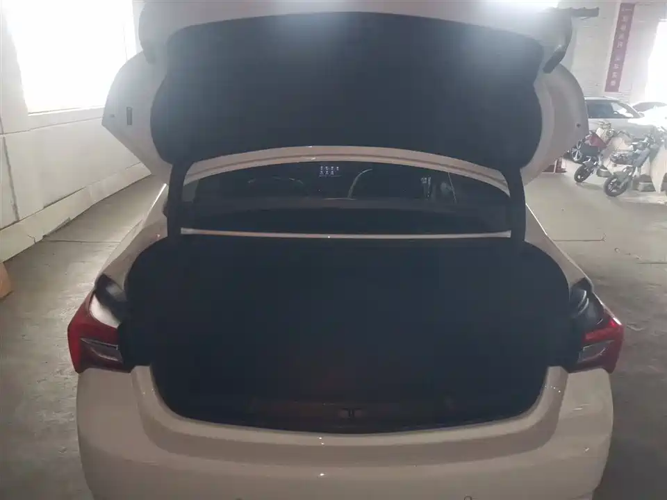 Buick Weilang