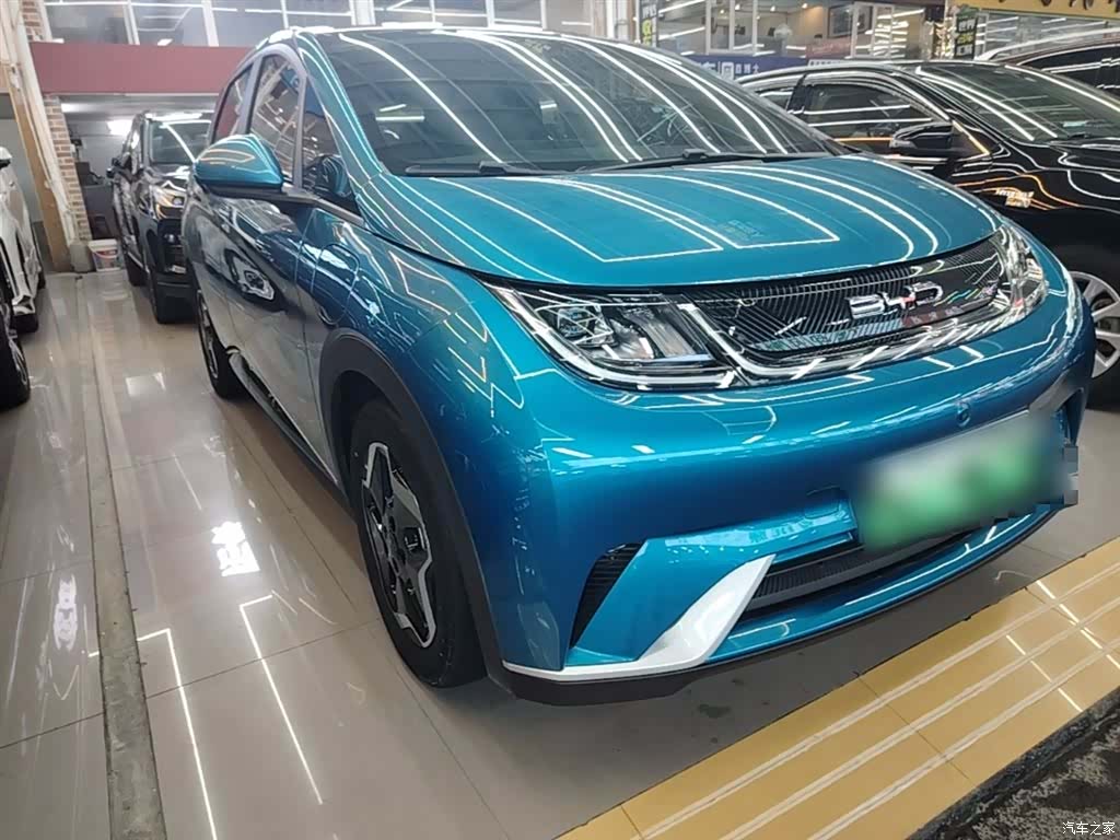 BYD Dolphin, 2023 4