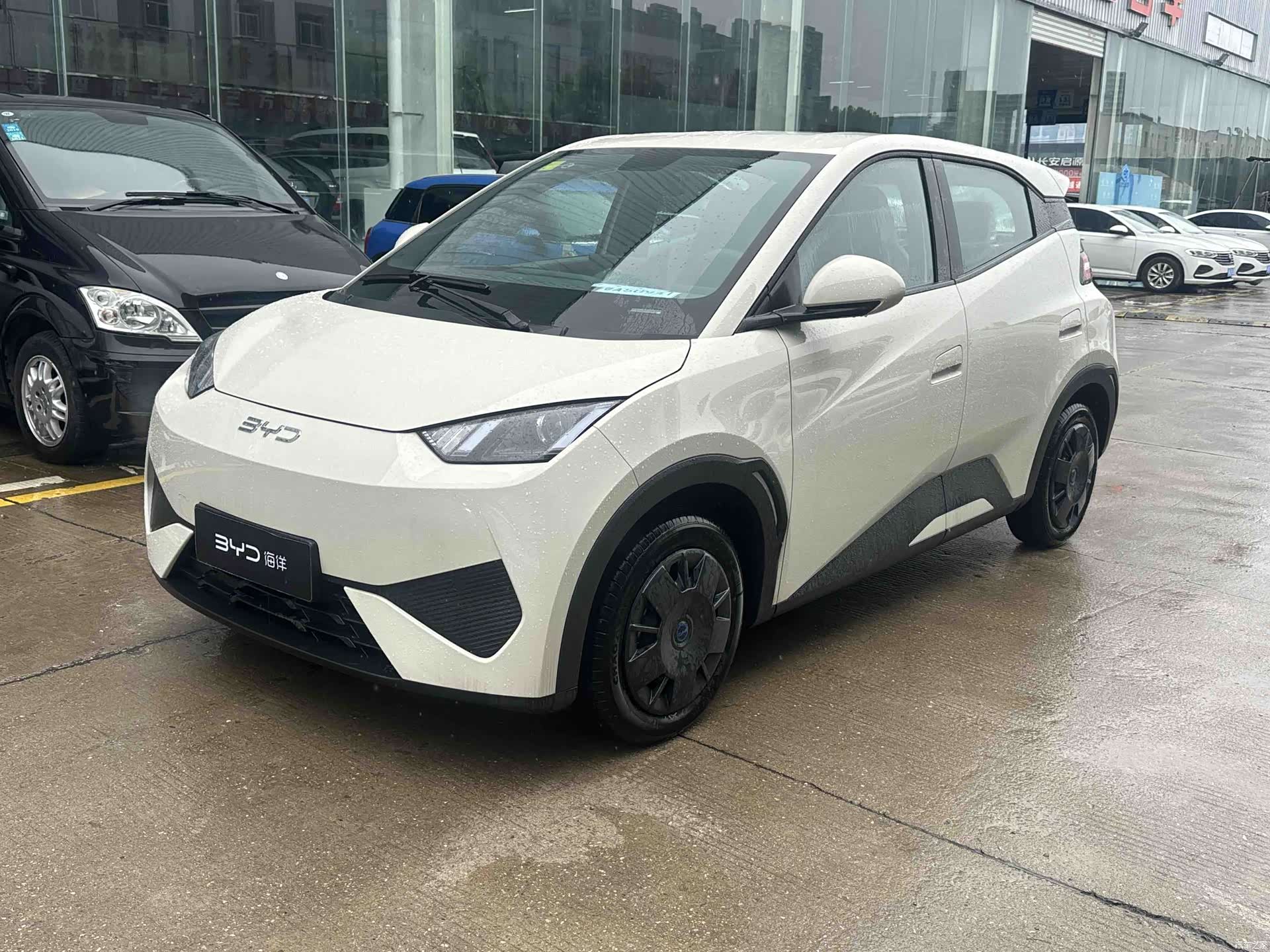 BYD Seagull, 2026 1