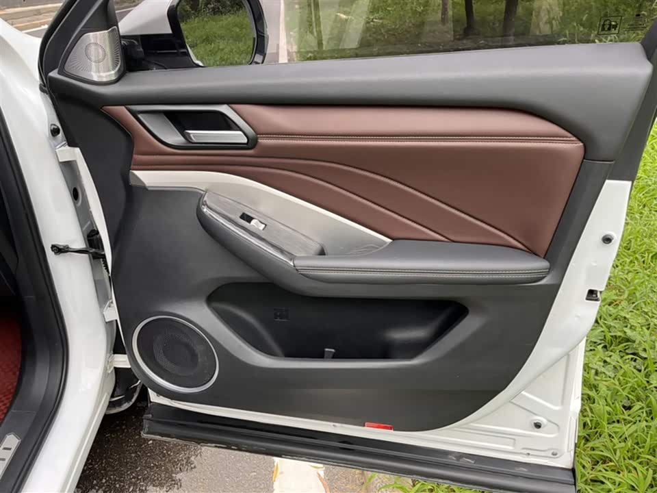 Weipai VV6