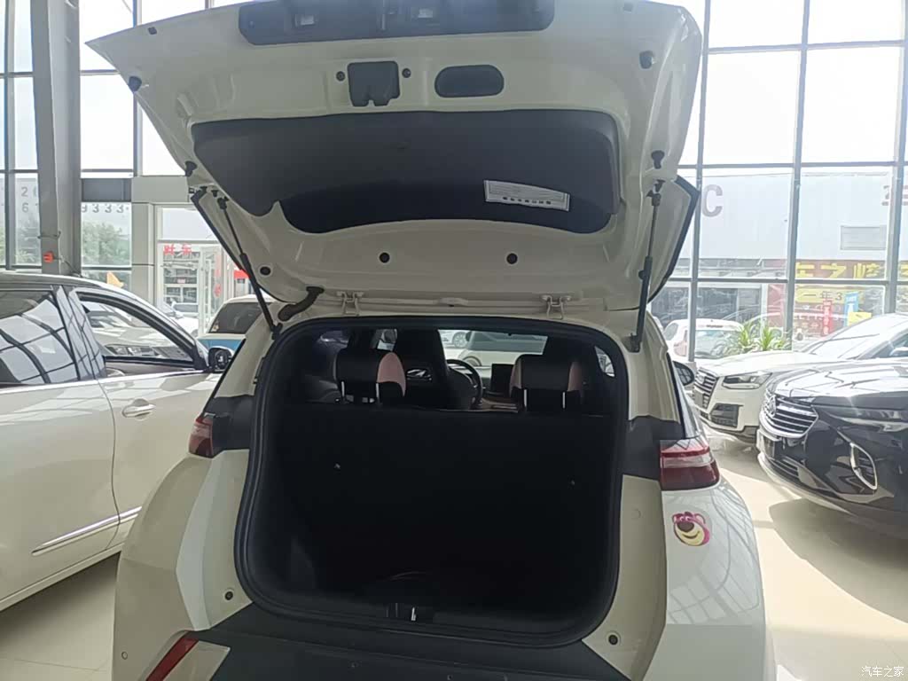 BYD Seagull, 2024 19