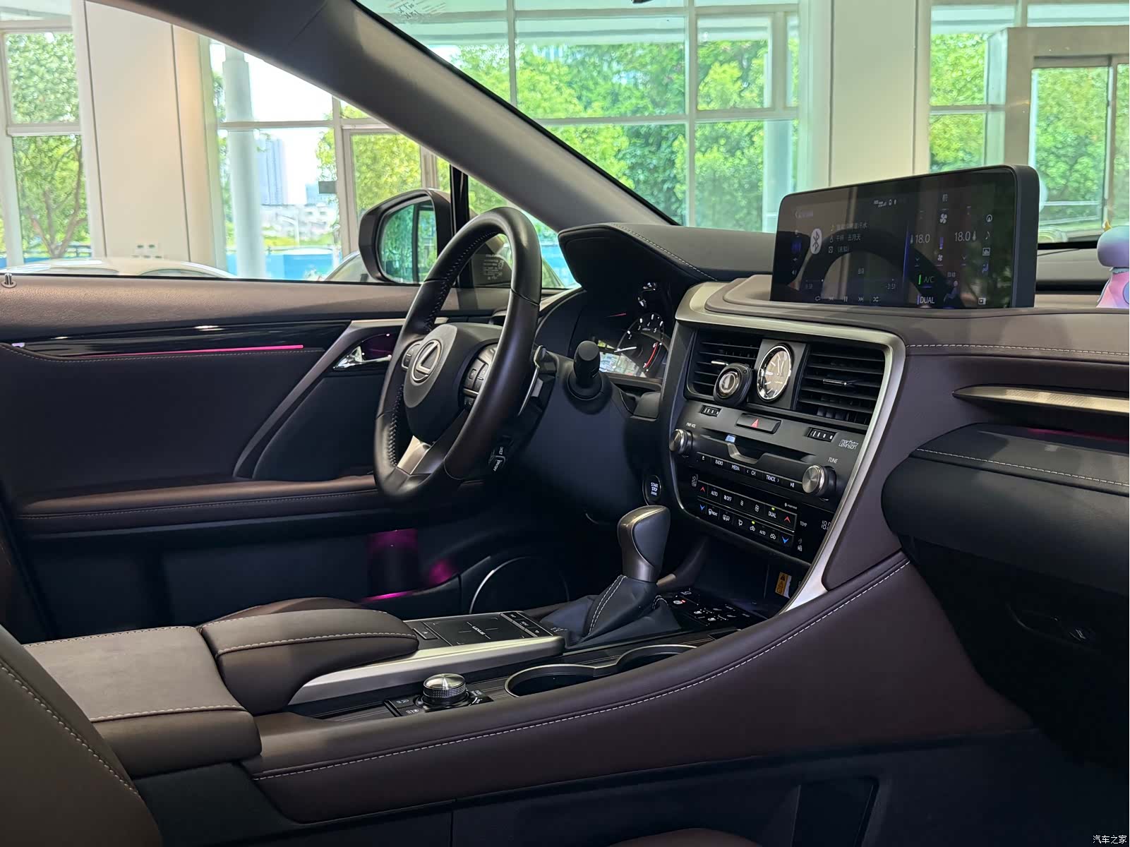Lexus RX, 2022 20