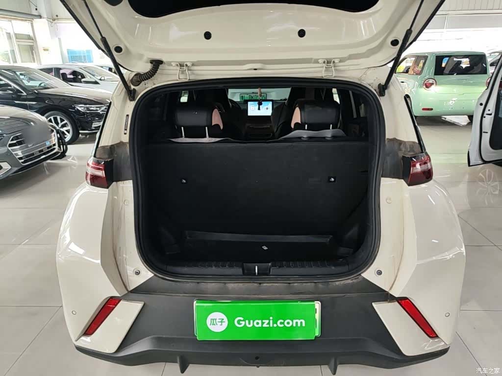 BYD Seagull, 2024 19