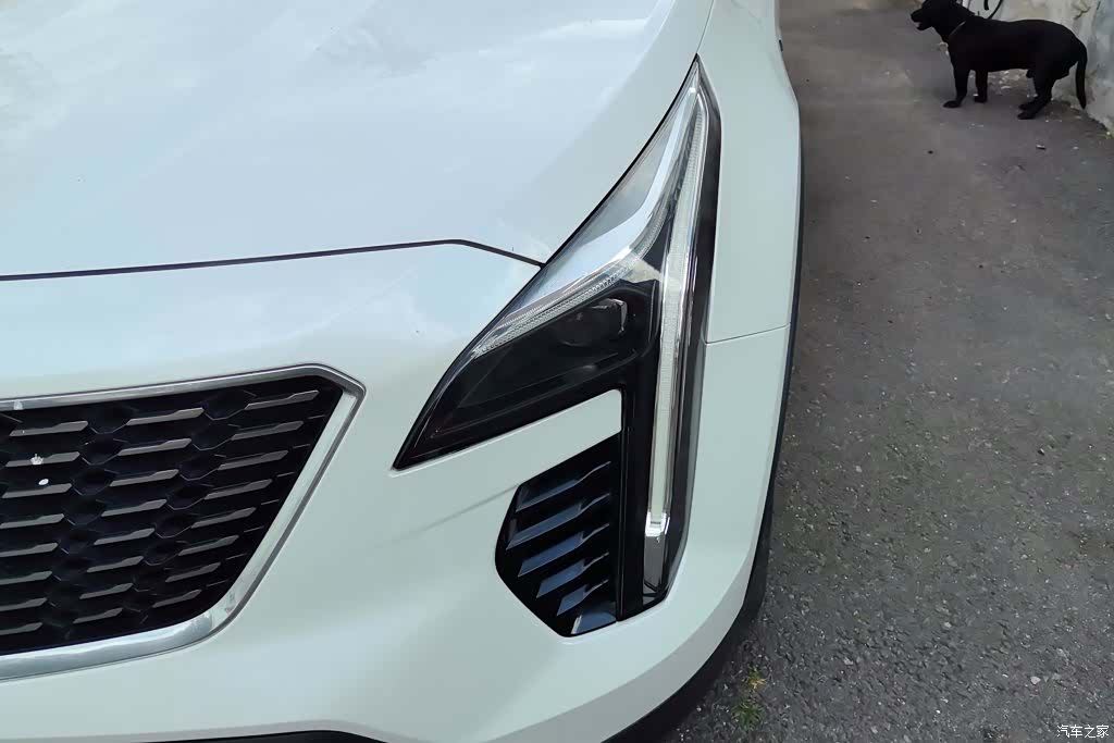 Cadillac XT4, 2022 все фото
