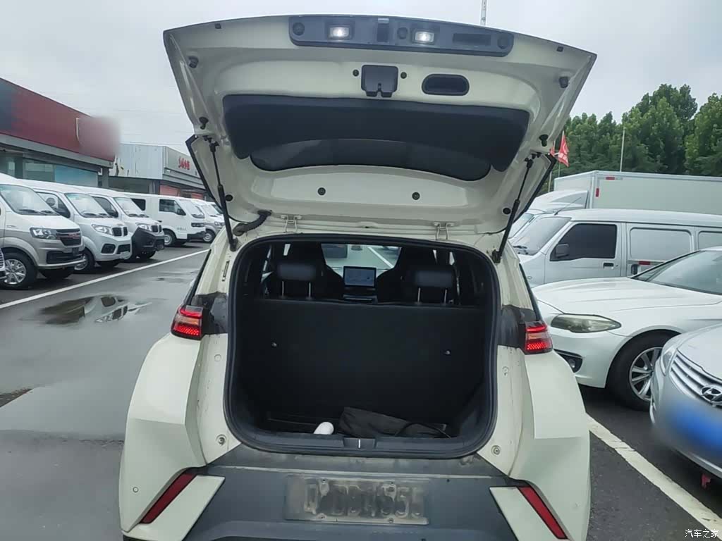 BYD Seagull, 2024 19