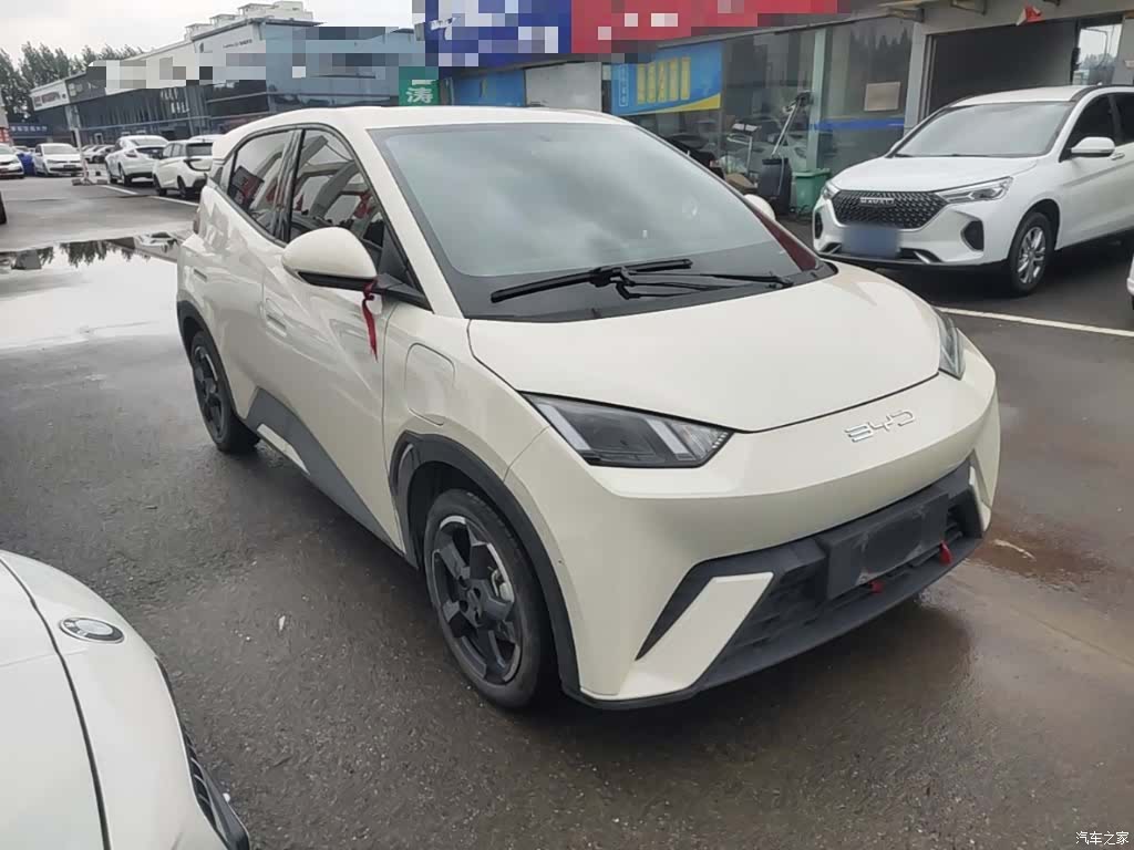 BYD Seagull, 2024 4