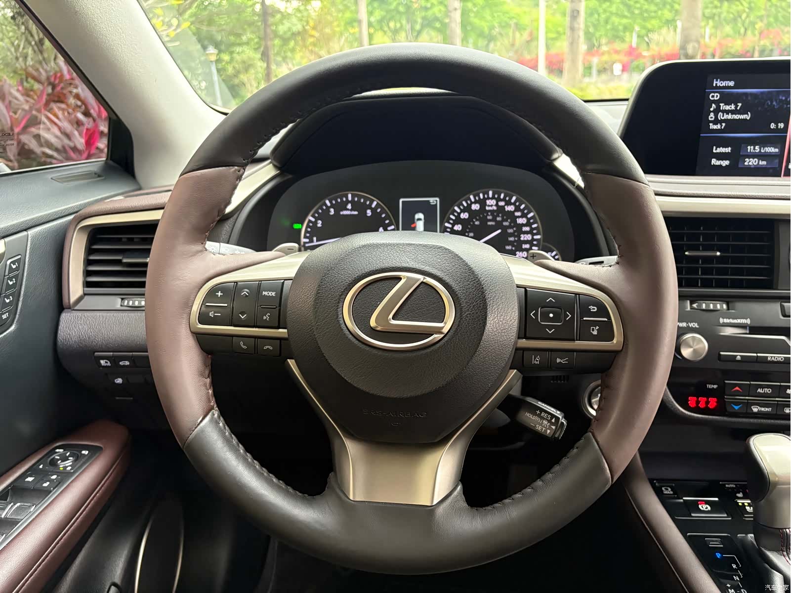 Lexus RX, 2020 21