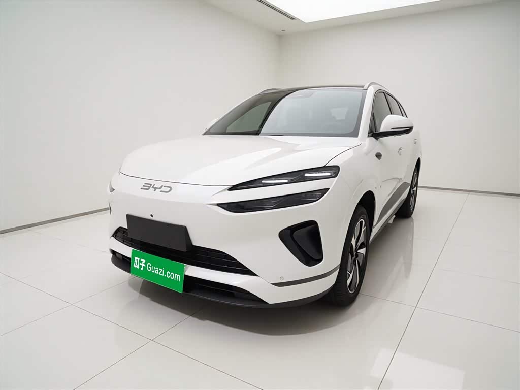BYD 06