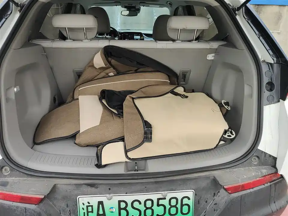 Buick Slightly blue 7