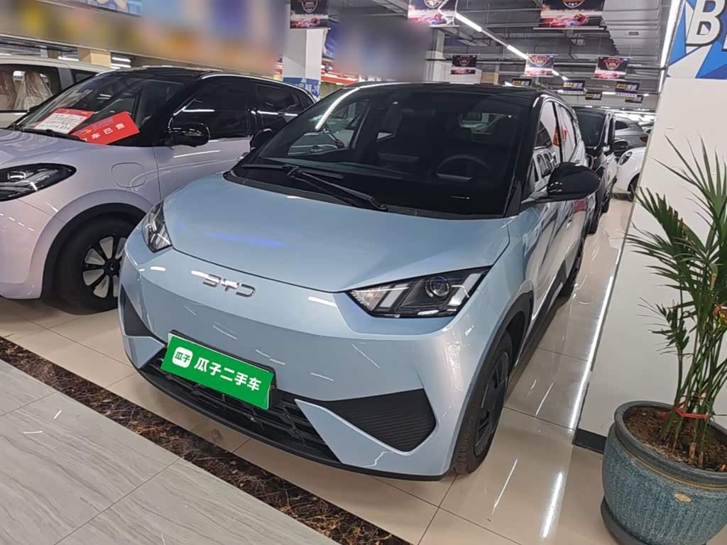 BYD Seagull