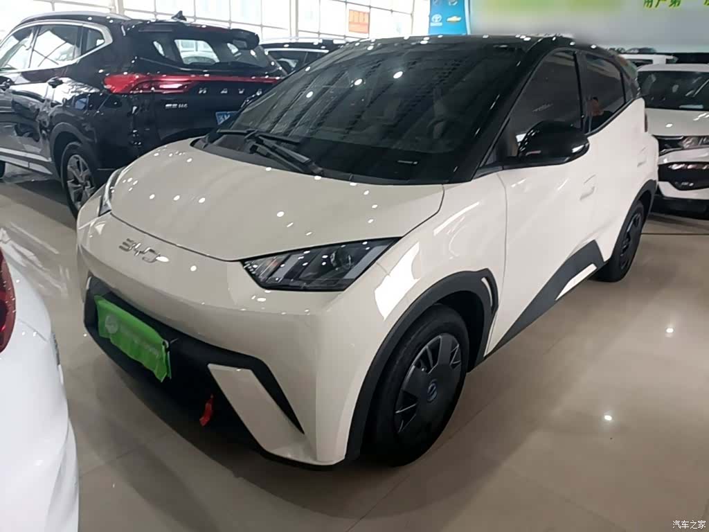 BYD Seagull, 2024 1