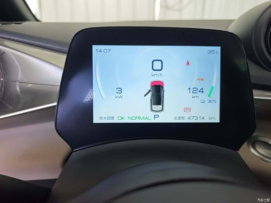 BYD Dolphin, 2024 12