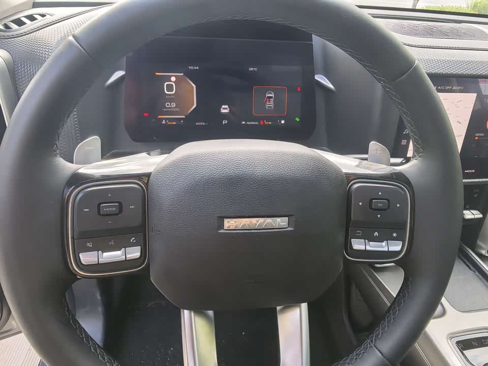 Haval Big dog