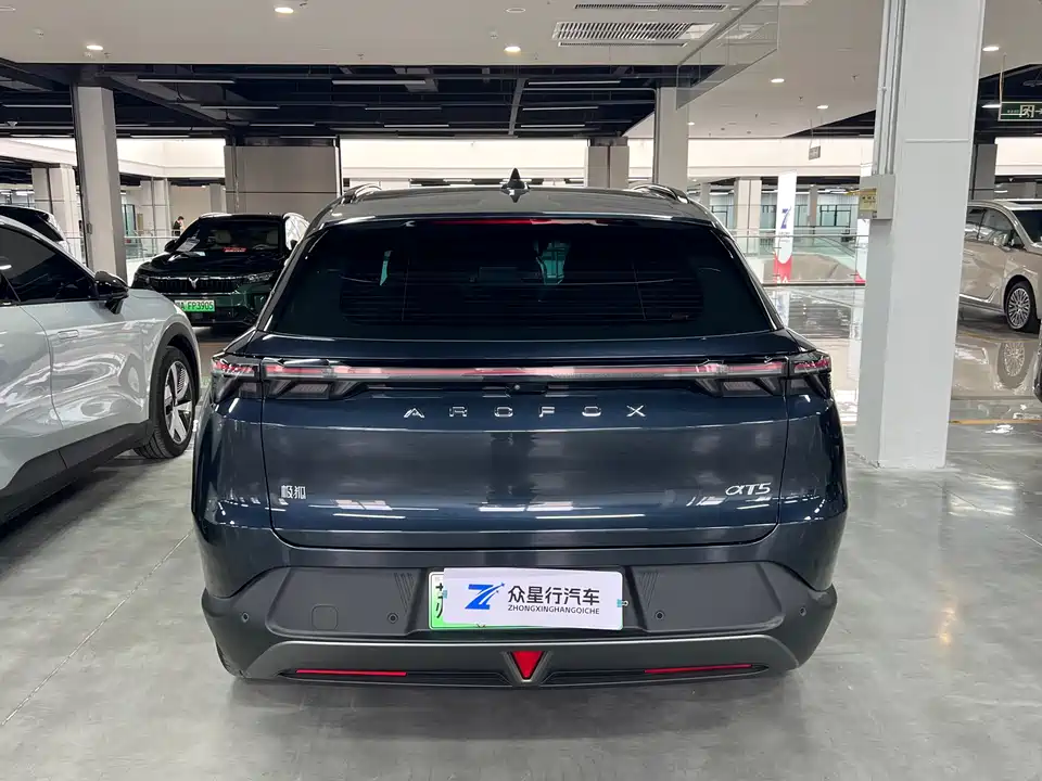 ARCFOX Polar Fox Alpha T5