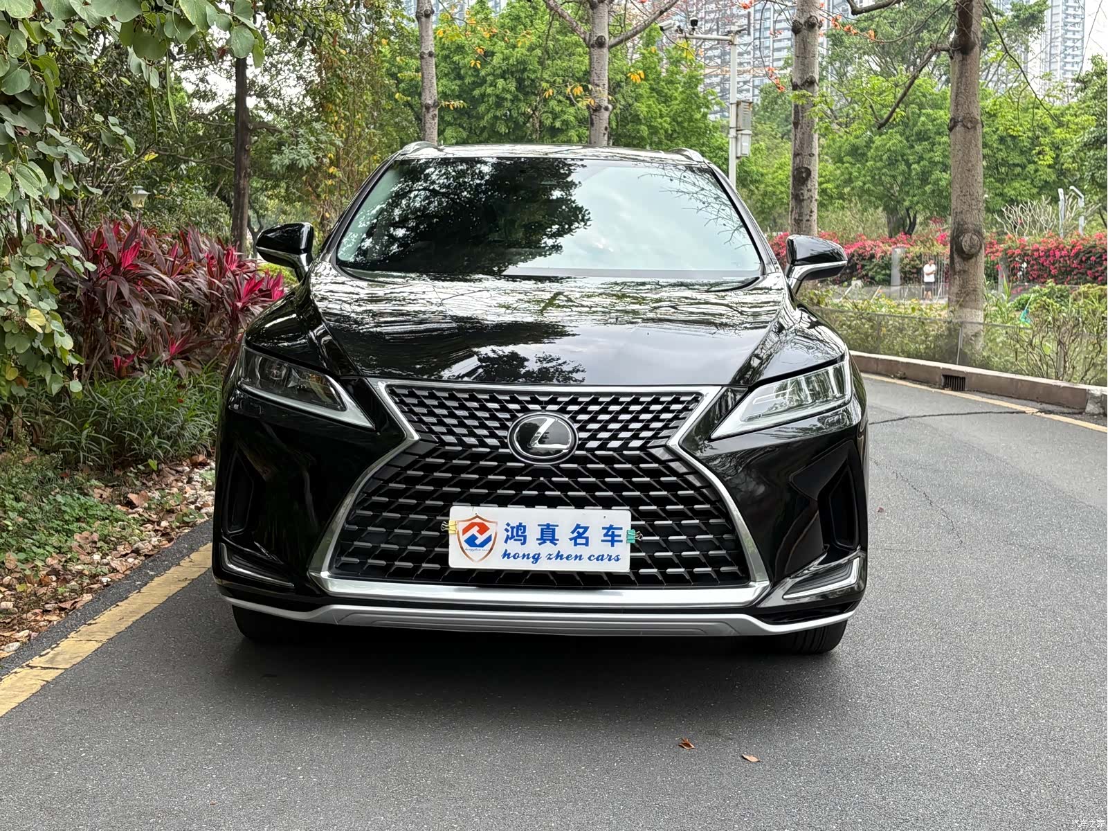 Lexus RX, 2020 2